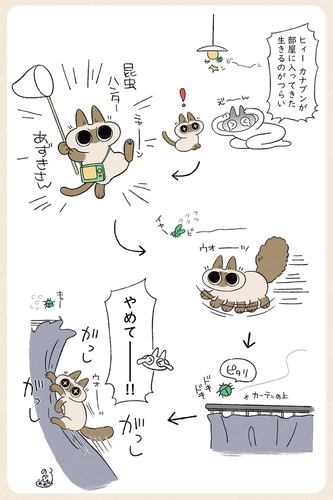 やめてー！！