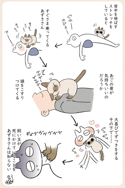 すぐさま乗ってくるあずきさん