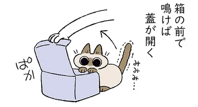 愛猫が鳴けば