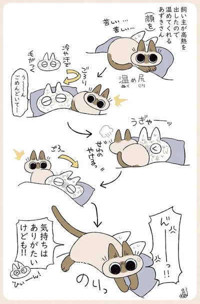 気持ちはありがたいけども！！