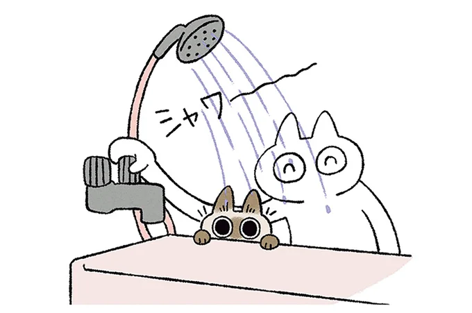 シャワーが!
