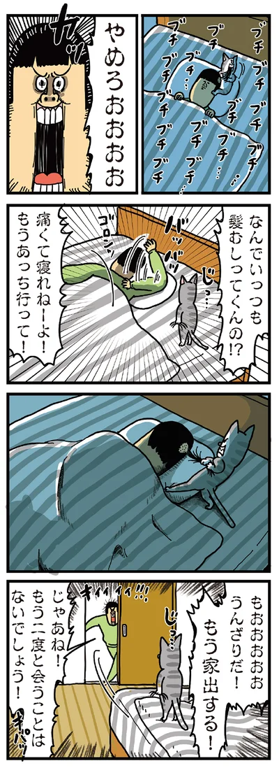 猫の髪の毛むしり攻撃に嫌気がさして家出した結果