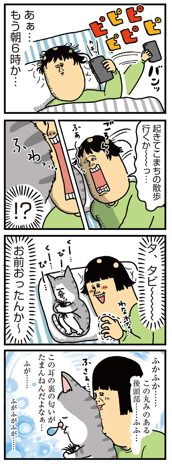 いつもこうして一日が終わっていくよ