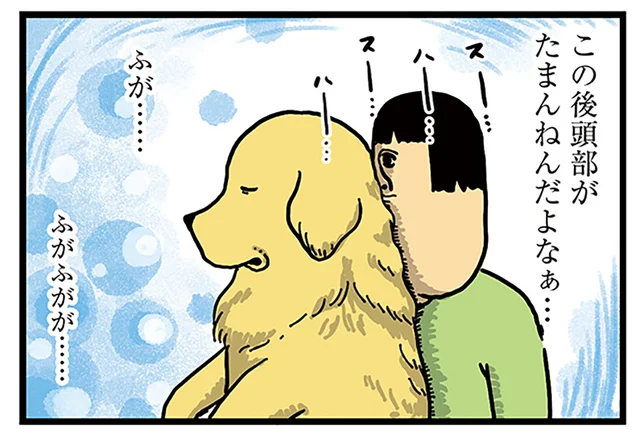 気づいたら3時間も寝てた。犬と猫の後頭部を堪能したら爆速で終わっていく一日／まめきちまめこニートの日常 こまちとタビ2（3）