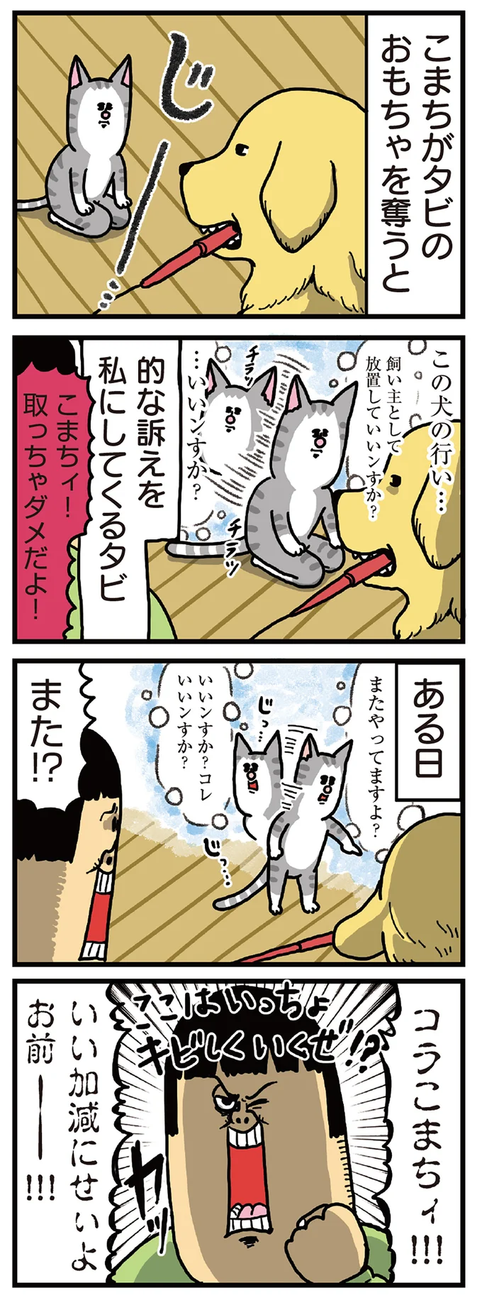 先輩のイジワルには告げ口が最適だと考えた猫