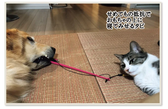  せめてもの抵抗