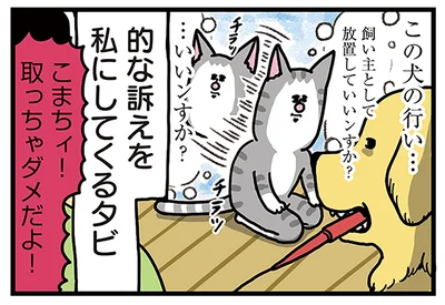 放置していいンすか？