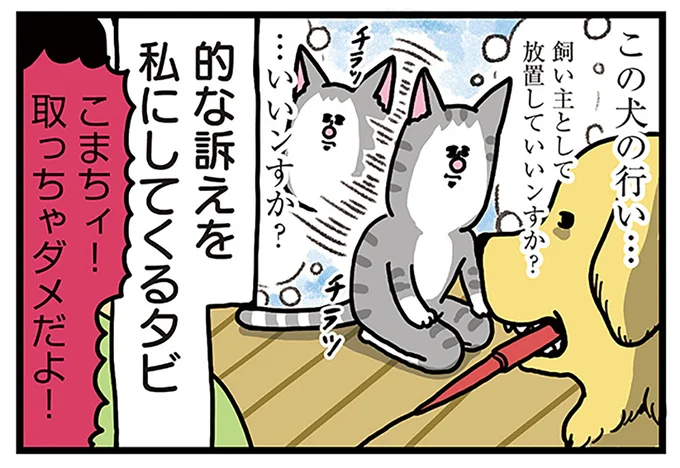 放置していいンすか?