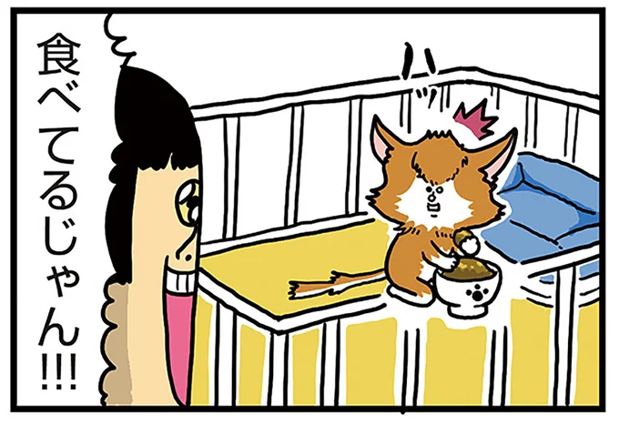 食べてるじゃん!!!