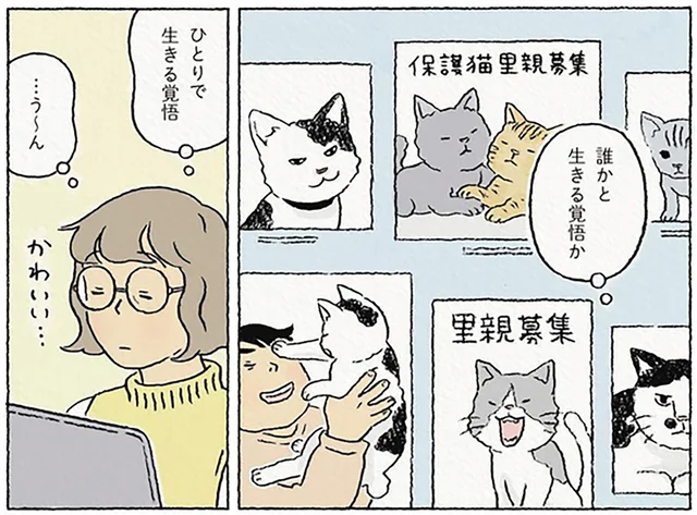 誰かと生きる覚悟、一人で生きる覚悟。ペットの話題で真剣に考え出すお昼休み