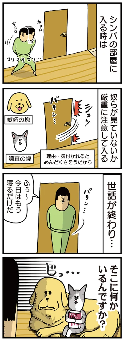 引きこもり猫の存在に気付いた2匹