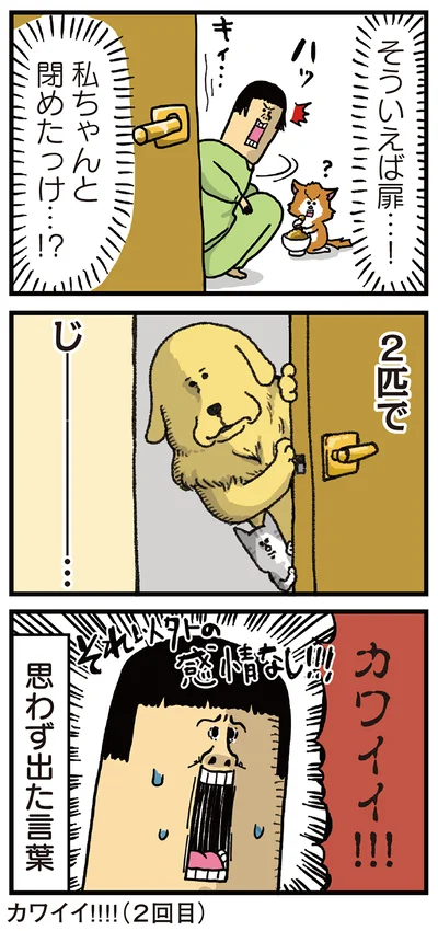 カワイイ！！！