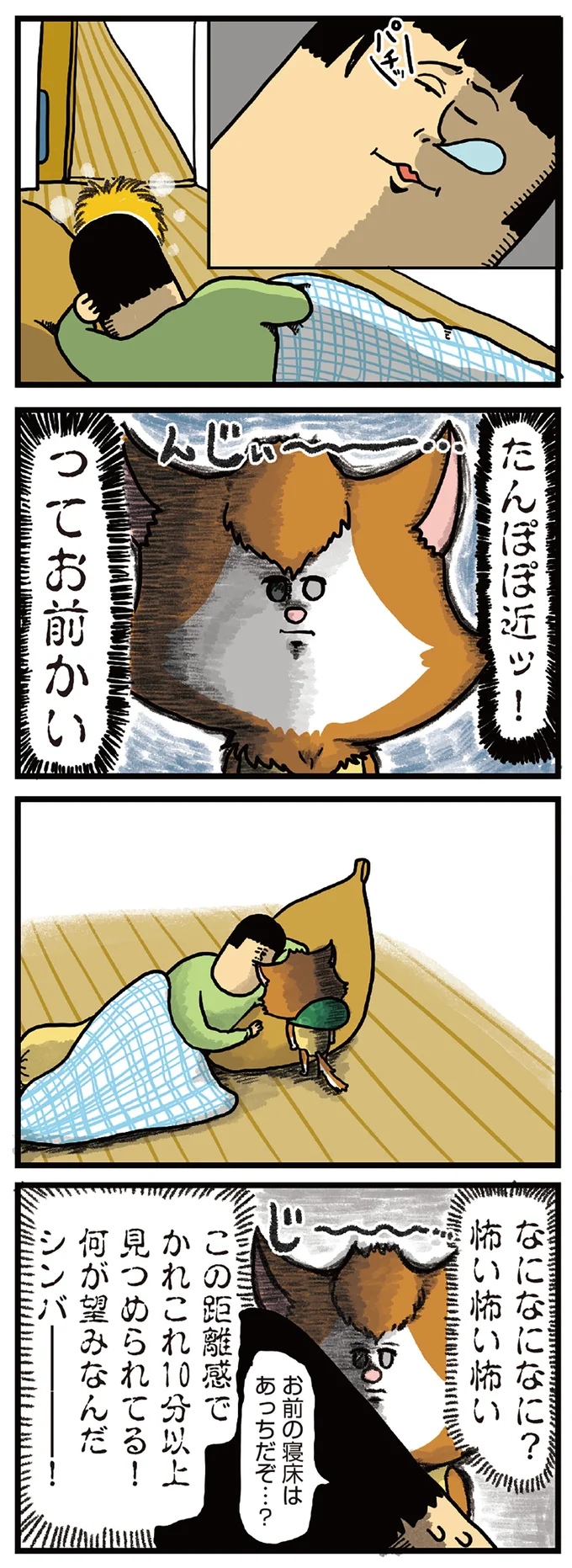 なになになに？
