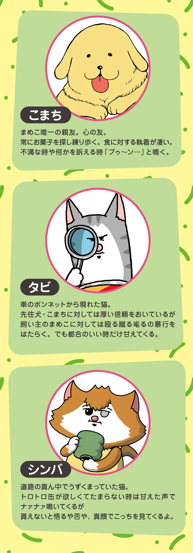 至近距離で10分見つめられてる!? 何が望みか全く分からない猫／まめ