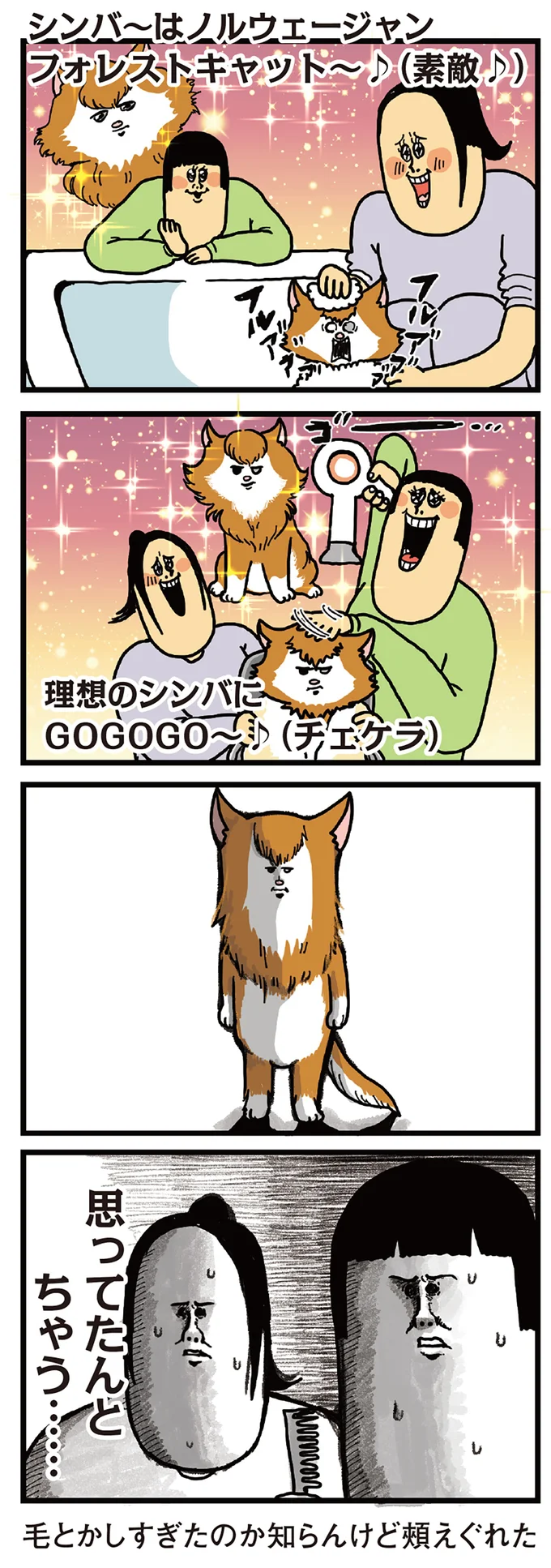 思ってたんとちゃう…