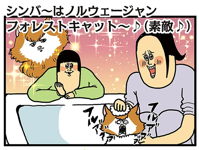 拾い猫はノルウェージャン？ お風呂に入れて真の姿を取り戻そう！／まめきちまめこニートの日常 こまちとタビ2（9）