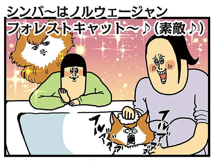 拾い猫はノルウェージャン？ お風呂に入れて真の姿を取り戻そう！／まめきちまめこニートの日常 こまちとタビ2（9）