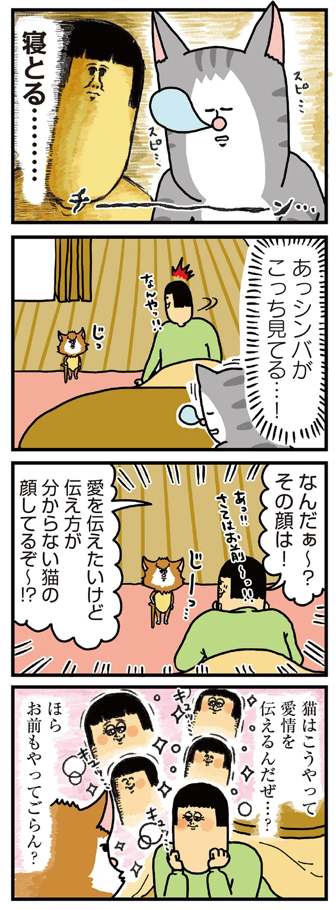 猫はこうやって愛情を伝えるんだぜ…？