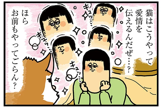 愛情はこうして伝えるんだぜ！ 猫にゆっくりまばたきを実践してみたら／まめきちまめこニートの日常 こまちとタビ2（10）