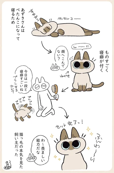 猫っ毛の本気