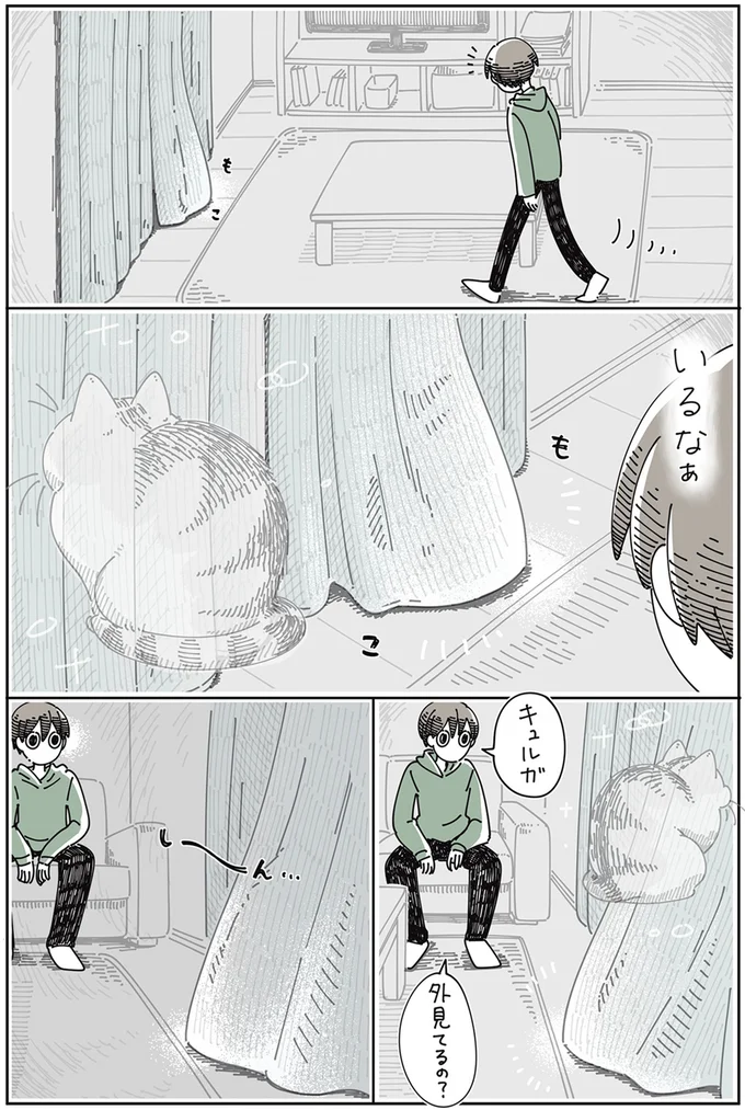 『夜は猫といっしょ 4』より