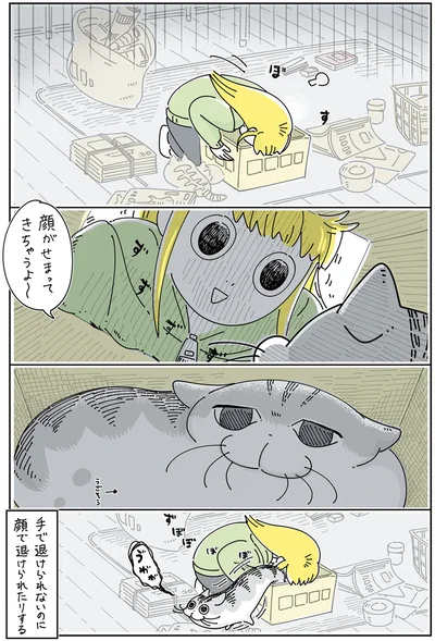 『夜は猫といっしょ 4』より
