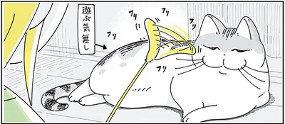 遊ぶ気無し