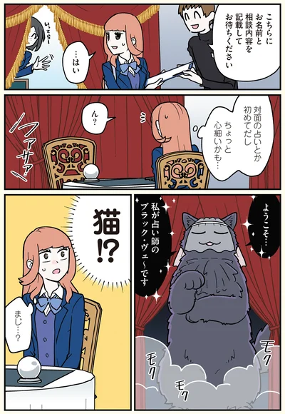 占い師ブラック・ヴェ～