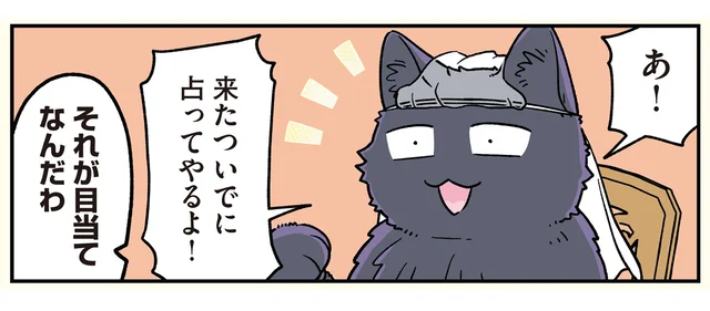 「適当に占うから」最近人気の猫占い師は、近所に住んでいたお兄ちゃんでした