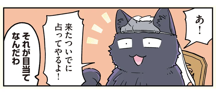 「適当に占うから」最近人気の猫占い師は、近所に住んでいたお兄ちゃんでした