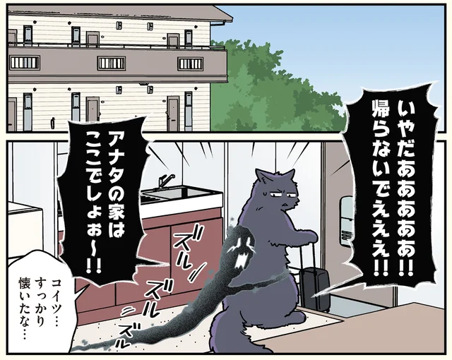 一緒に過ごす内に芽生えた情。猫になった男性に、幽霊が懐きました!?／ブラック企業の社員が猫になって人生が変わった話6（10）