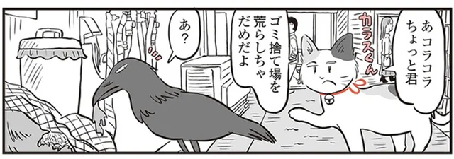 守り神・鬼姫の代わりに一番弟子の三毛猫が商店街をパトロール／鬼姫神社通り商店街（13）