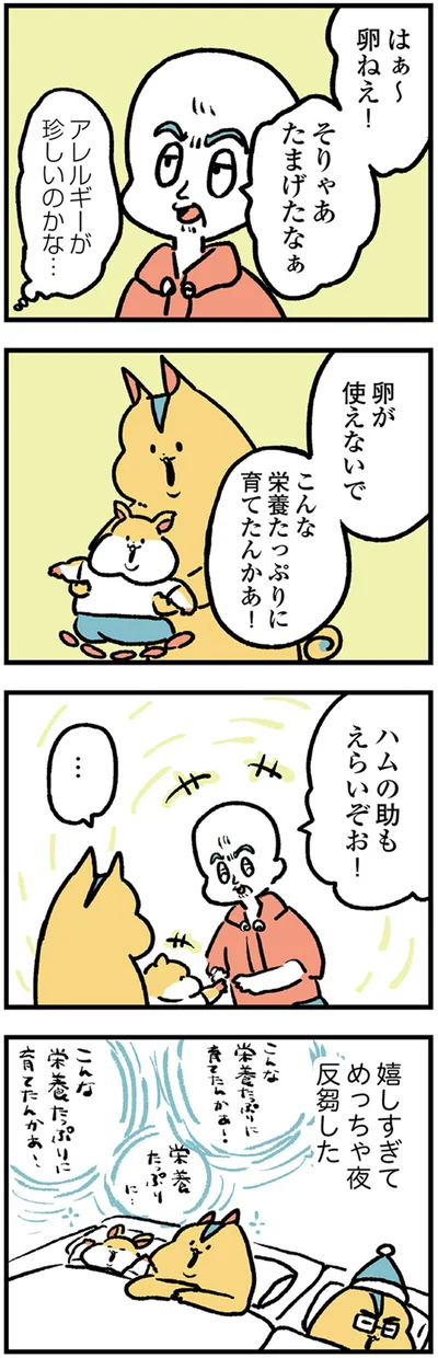 『大家さんとハムソー』より