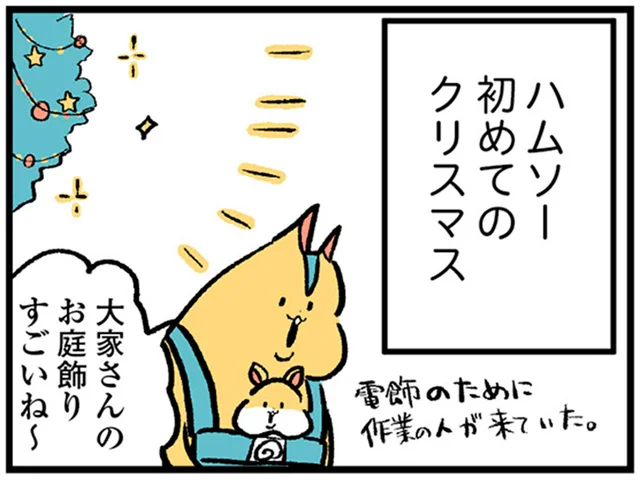 息子の初めてのクリスマス。大家さんのお庭に電飾がついたワケは？