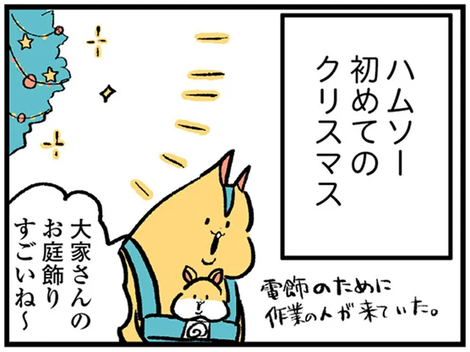 大家さんのお庭飾りすごいね~