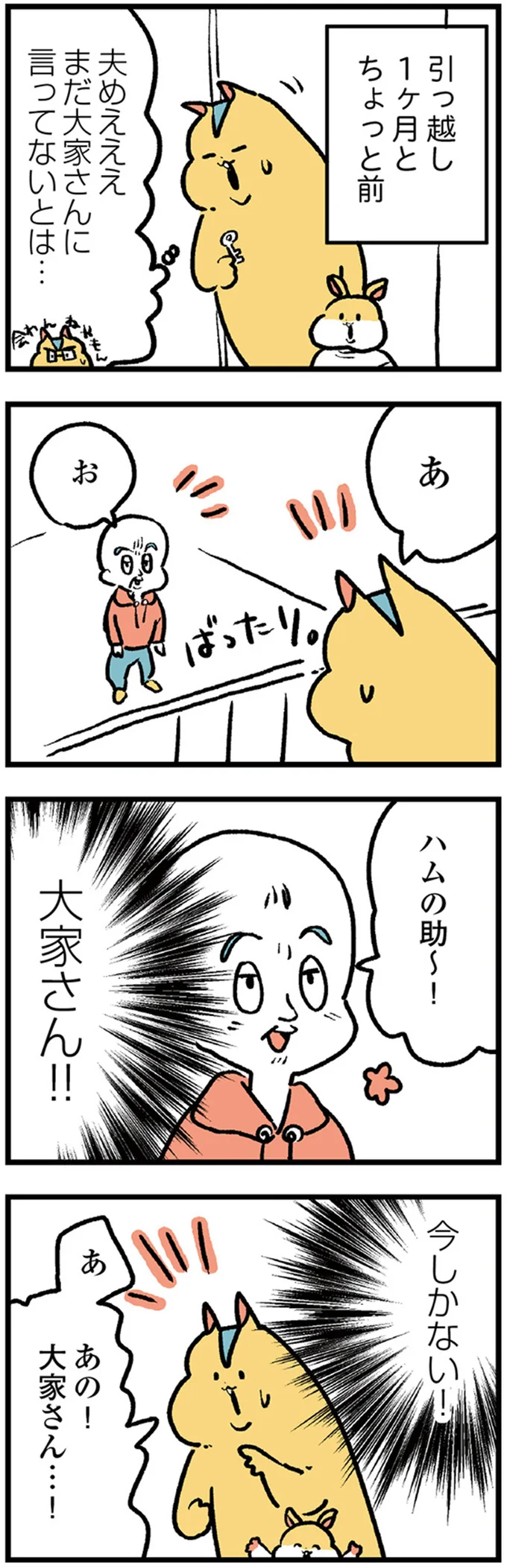今しかない!