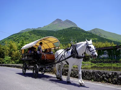 観光辻馬車で由布院散策