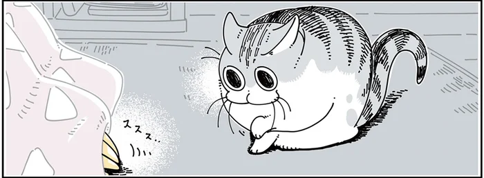 飼い主の手の動きが猫の狩猟本能を目覚めさせた？ こたつでの一幕
