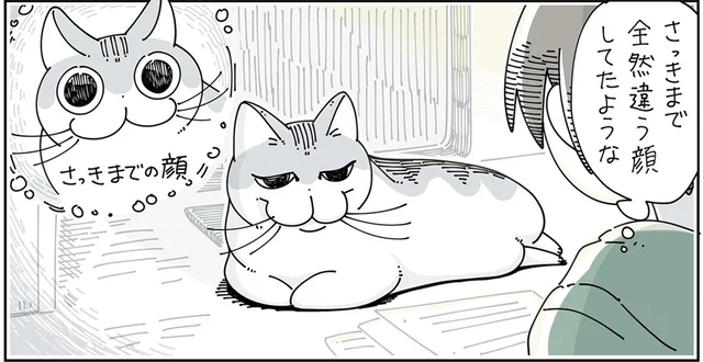 さっきまでの顔と違うような。見るたびに表情や体の形が違う猫