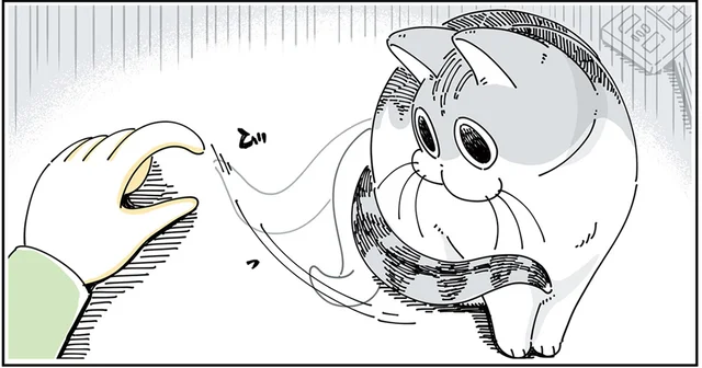 嫌ではなさそうだけど。猫のしっぽで遊びだす飼い主