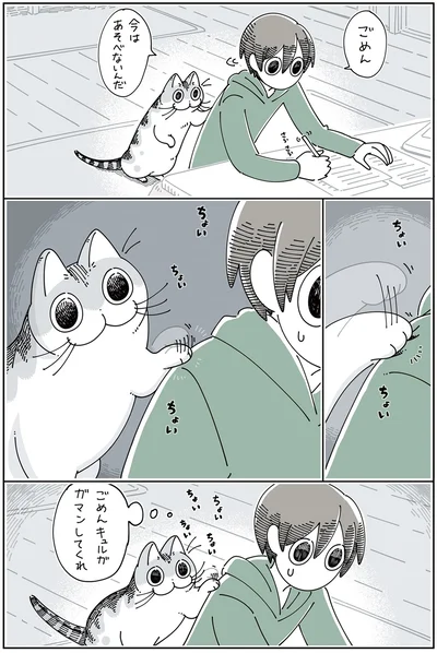 ちょいちょいちょい