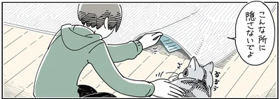 こんな所に…