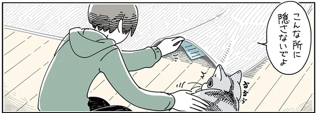 失くしたと思ってた！ 猫のコレクションと化した様々なものたち
