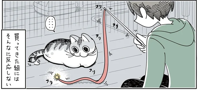 買ってきたものはNG？ 猫が無反応だった悲しき紐状のおもちゃ
