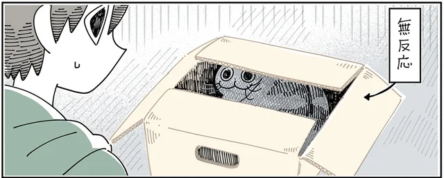 無反応、のちに超反応!? 邪魔をしにきた猫にちょっかいを出していたら