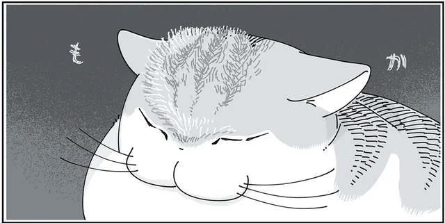 身を任せてもらって逆に申し訳なくなった。猫のおでこの毛を逆撫でてみた日