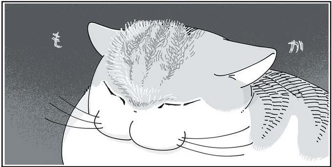 もかぁ…
