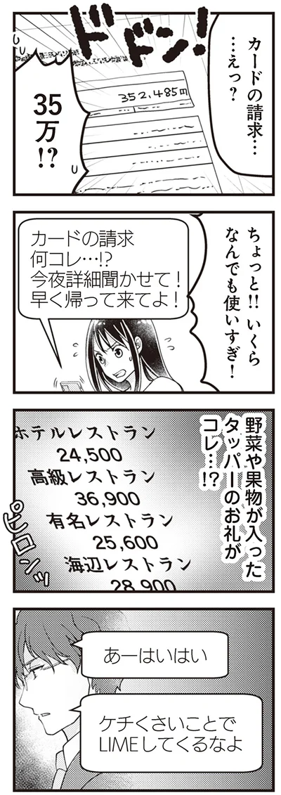『サレ妻になり今は浮気探偵やってます14　里帰り中に夫が駆け落ちしてました』より