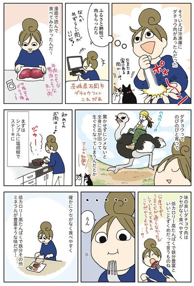ダチョウ肉は