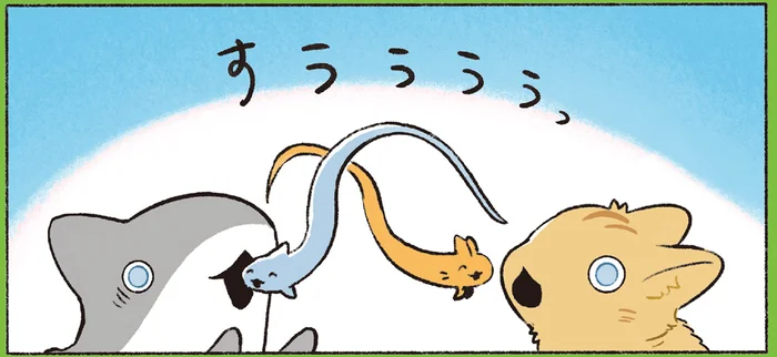 猫と子ザメが入れ替わっちゃった！ それぞれ過ごす不思議な時間